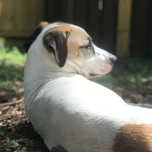 Meet your Posher, Jana